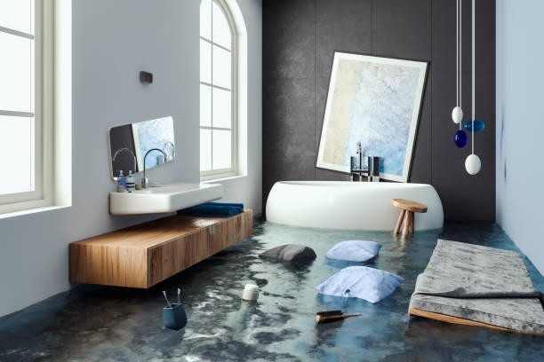 Best Professional water damage repair  in Rayville, LA