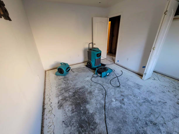  Rayville, LA Water damage restoration Pros