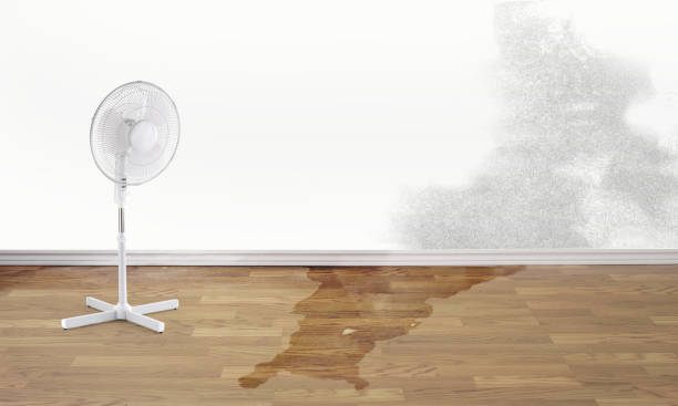 Best Sewage cleanup and water damage restoration  in Rayville, LA