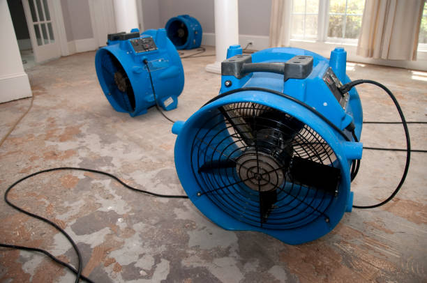 Trusted Rayville, LA Water damage restoration Experts