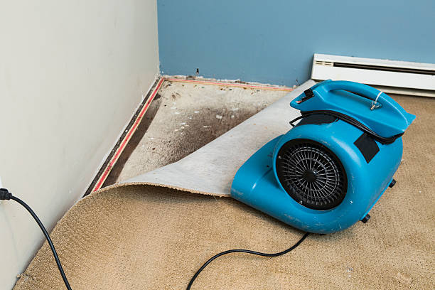 Best Flood restoration services  in Rayville, LA
