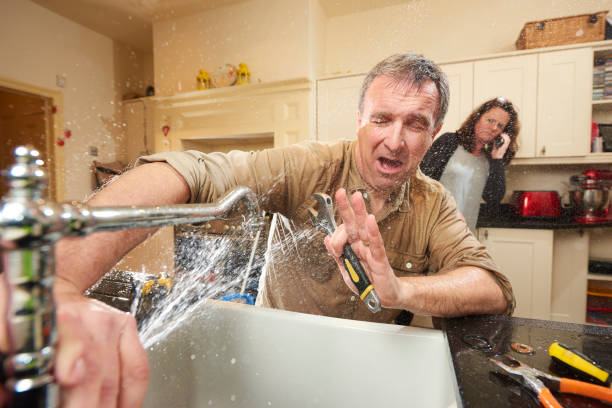 Best Flooded house restoration  in Rayville, LA